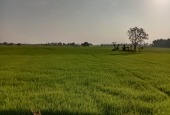 IIP Online Student Photography
